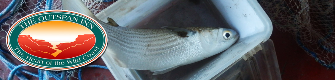 Fishing in Port St Johns - header image