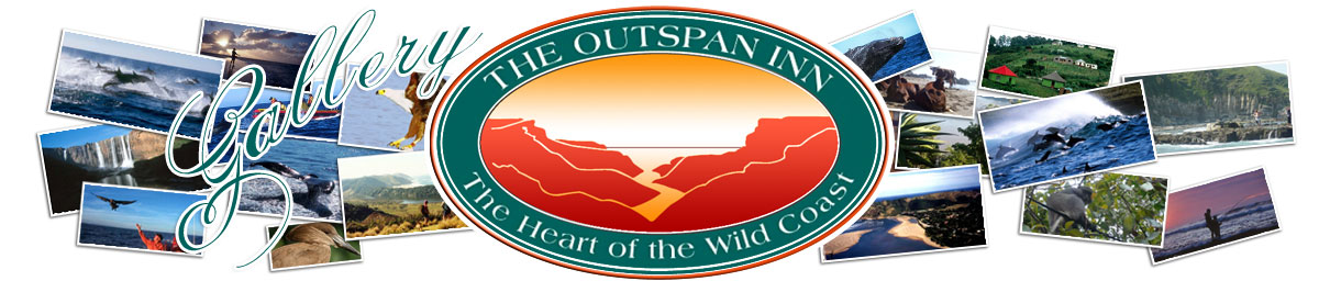 Gallery - The Outspan Inn, The Heart Of The Wild Coast