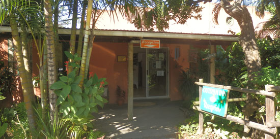 Our reception - Main Road, Port St Johns